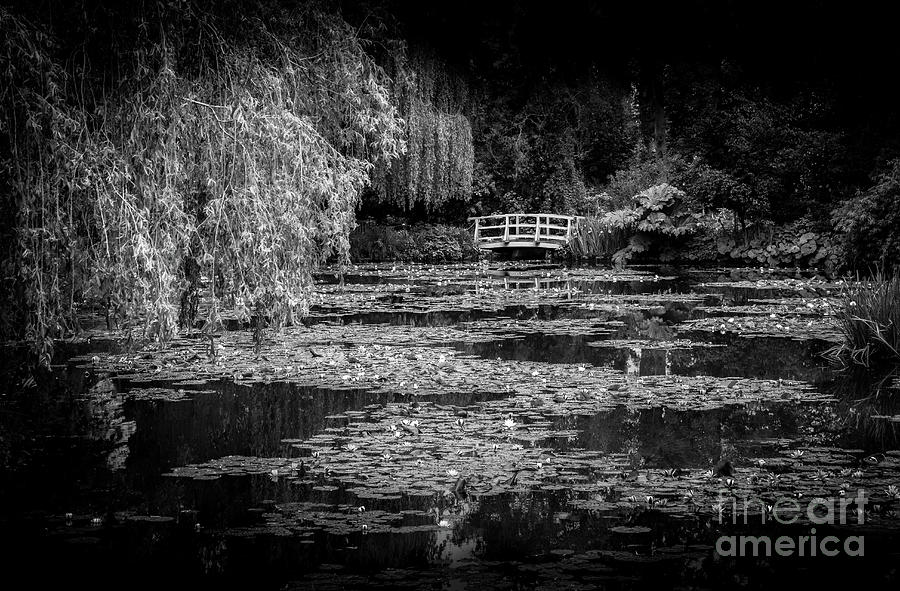 Monets Waterlily Pond, Giverny, France, Blk Wht Photograph by Liesl Walsh