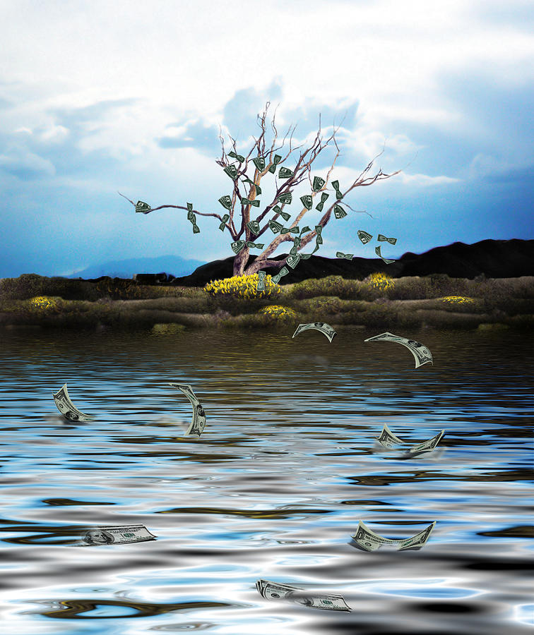 Money Tree Photograph - Money Tree on a Windy Day by Gravityx9   Designs