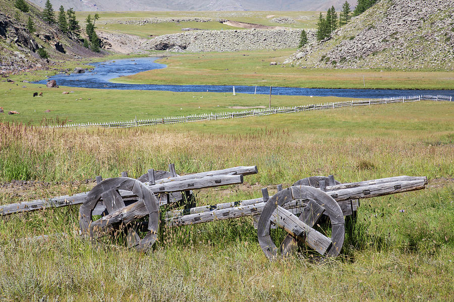 Landscape Photograph - Mongolian ox carts by Hitendra SINKAR