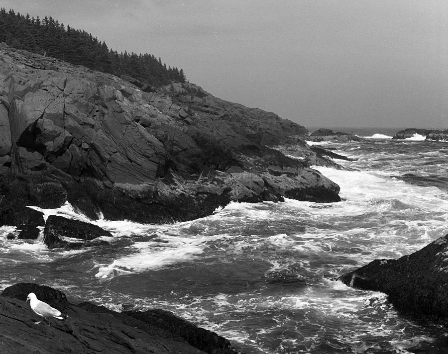 Atlantic Ocean from Monhegan Island Maine Photograph by Paul Ross