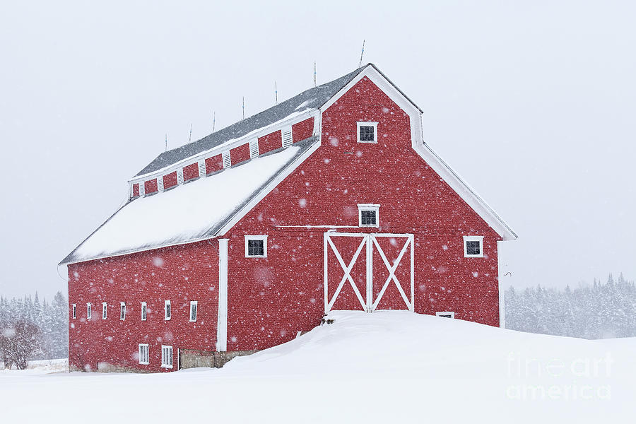 Monitor Barn Snowstorm Photograph by Alan L Graham