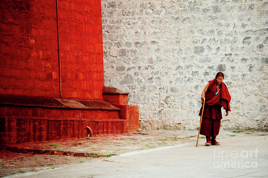 Monk in Tashilhunpo Monastery Shigatse Tibet Yantra.lv Photograph by Raimond Klavins