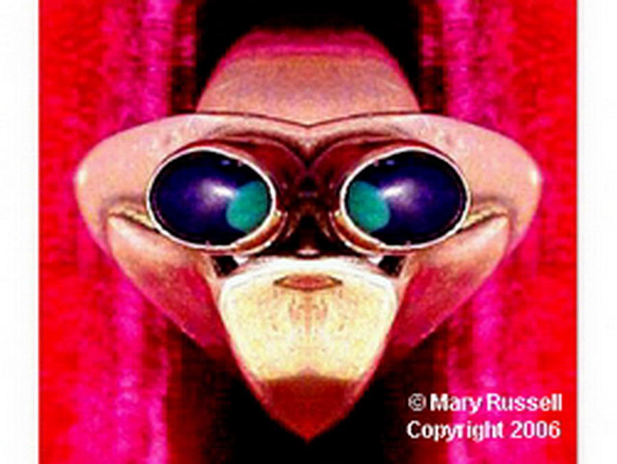 Monkey business Digital Art by Mary Russell