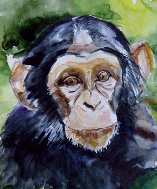 Monkey Painting by Eugenia Shunina - Fine Art America