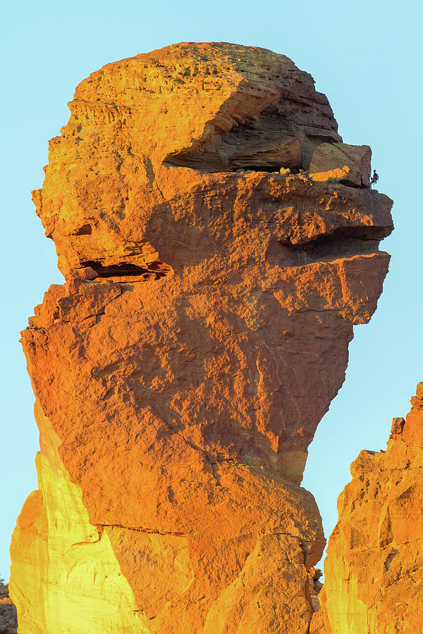 Monkey Face Pillar at Smith Rock Closeup Photograph by David Gn