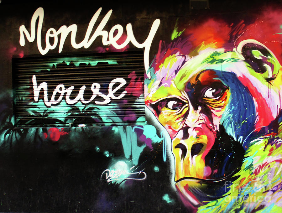 Monkey House Photograph by Randall Weidner