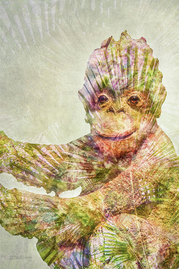 Monkey Man Digital Art by Pamela Williams