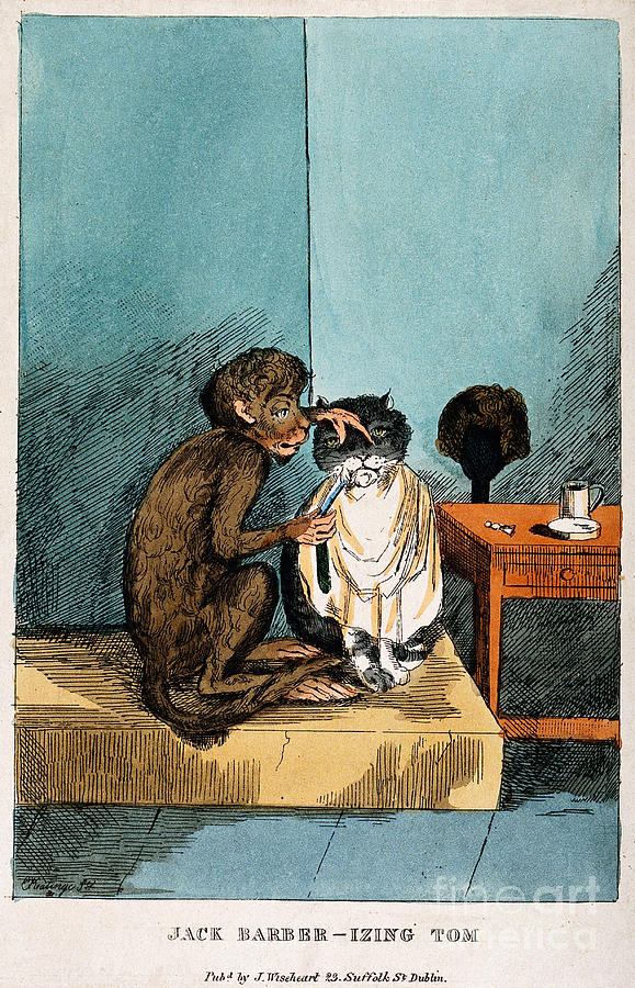 Monkey Shaving A Cats Whiskers Photograph by Wellcome Images