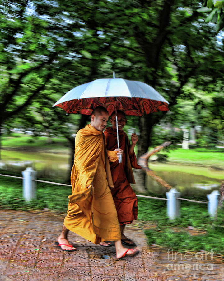Monks shade  Photograph by Chuck Kuhn