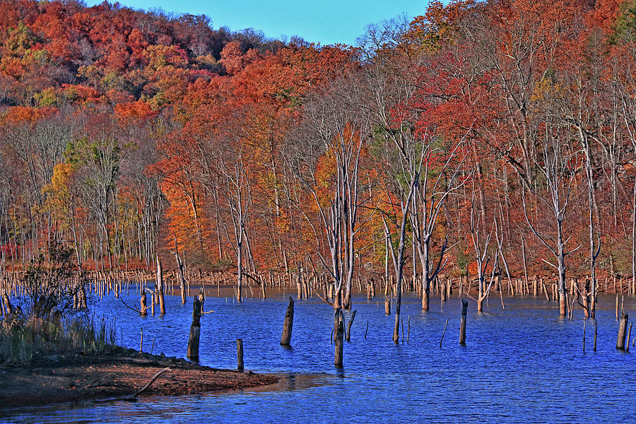 Monksville Reservoir 8 Photograph by Allen Beatty