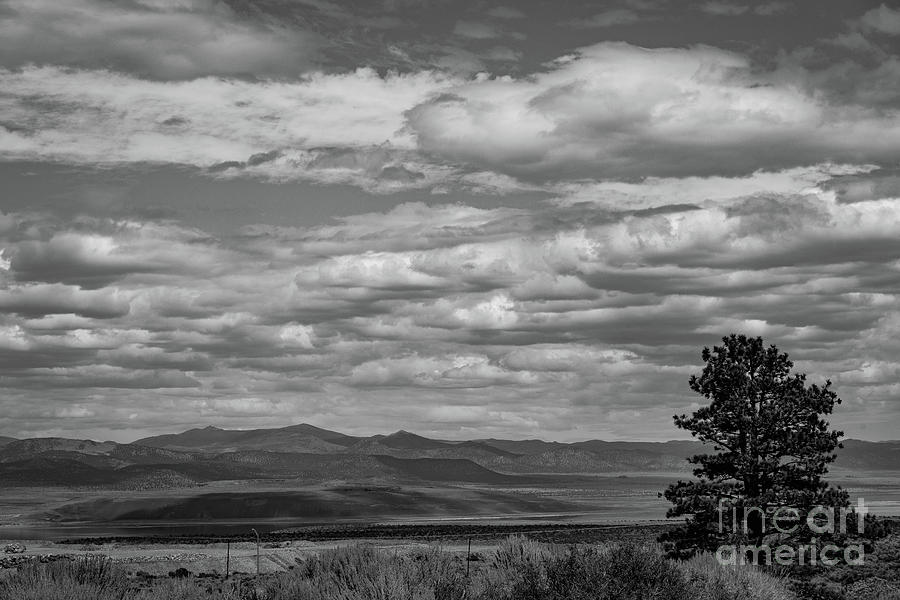Mono Basin View  Photograph by Jeff Hubbard