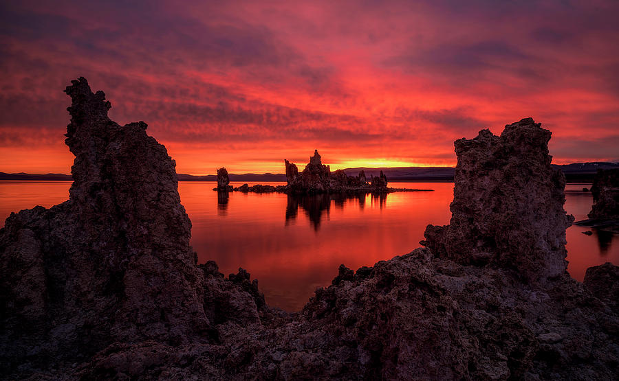 Mono Blaze by Bjorn Burton Mono Blaze by Bjorn Burton