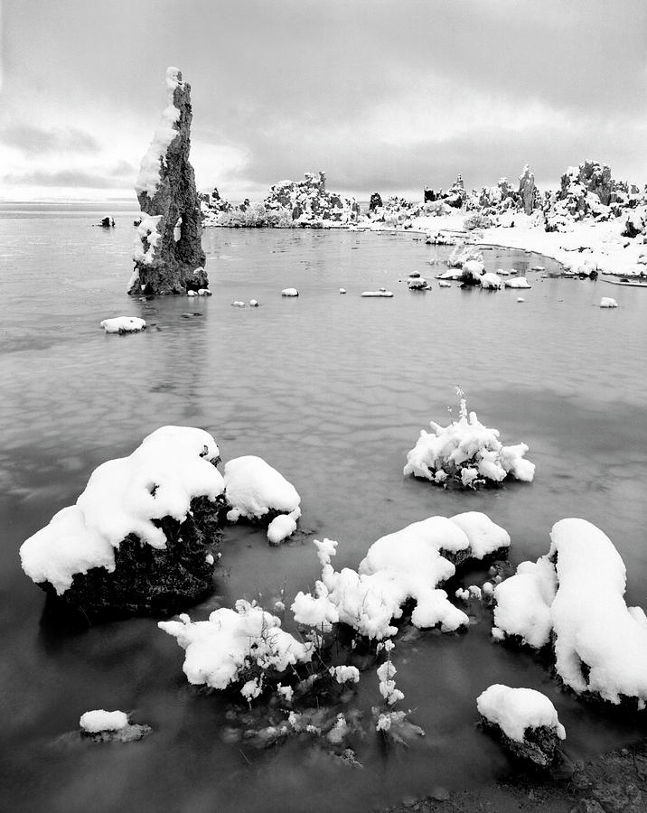 Mono Lake after the snow - California Photograph by Steve Ellison