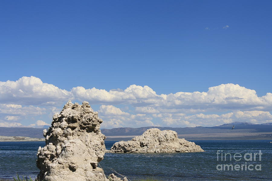 Mono Lake Photograph