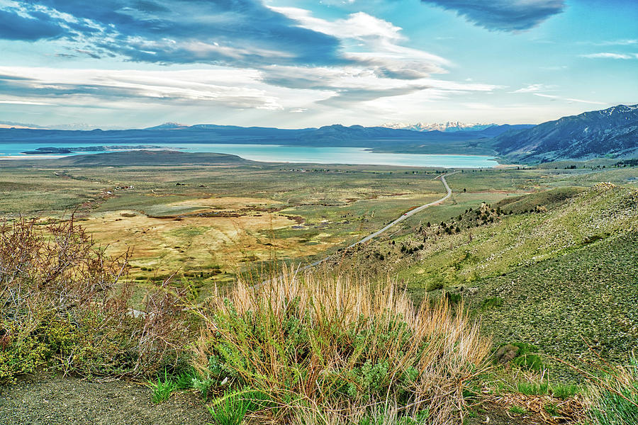 Mono Lake Photograph