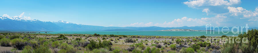 Mono Lake Panorama  Photograph by Michael Ver Sprill