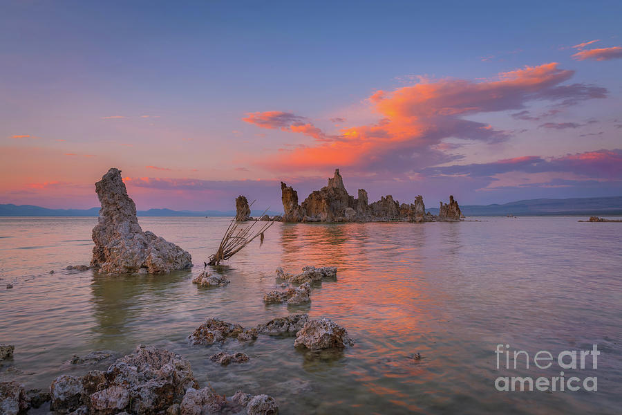 Mono Lake Sunset Reflections  Photograph by Michael Ver Sprill