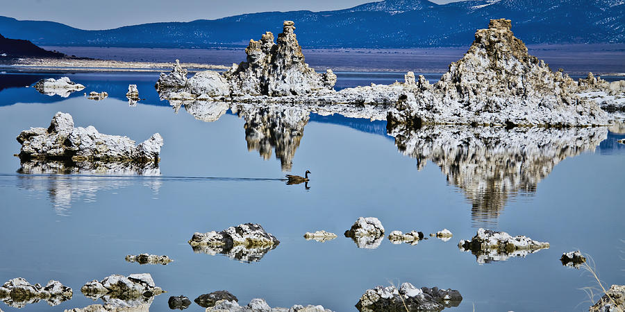 Mono Lake Tufa Photograph by Albert Seger