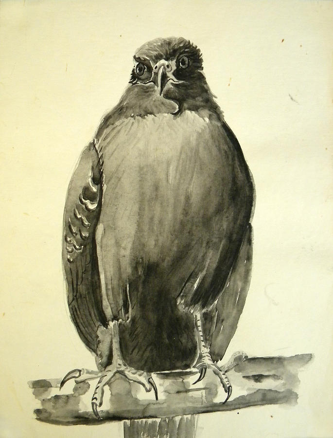 Monochromatic Hawk Painting