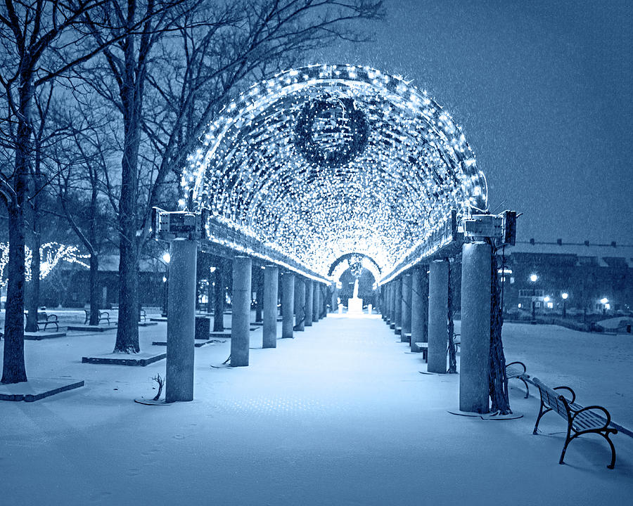 Monochrome Blue Christopher Columbus Park Trellis lit up for Christmas Snowstorm Boston MA Bench Photograph by Toby McGuire