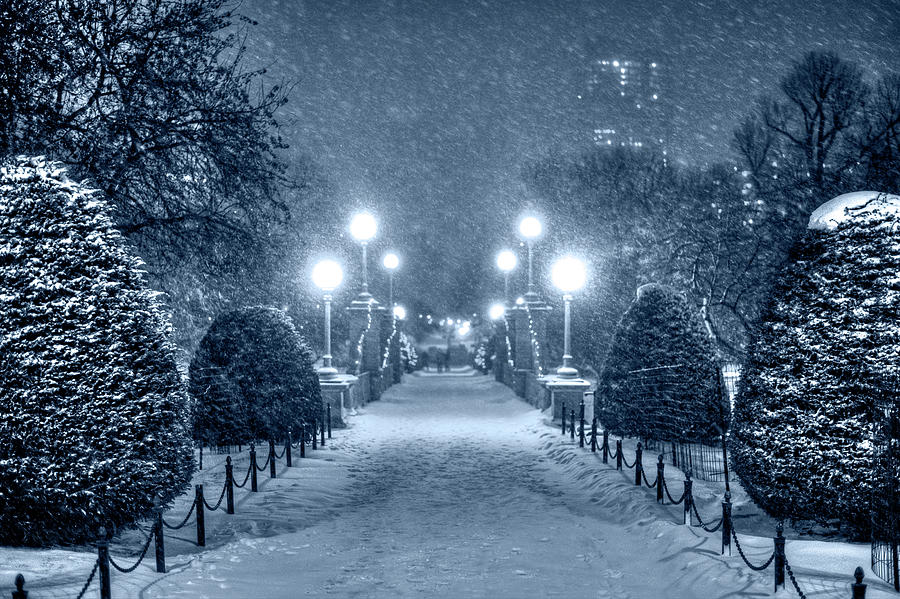 Monochrome Blue Nights Boston Public Garden Snow Storm MA Massachusetts Bridge Lights Photograph by Toby McGuire
