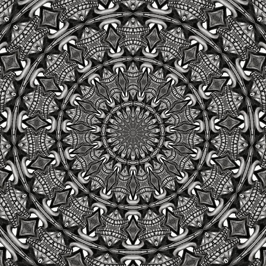 Monochrome Mandala Digital Art by Taiche Acrylic Art