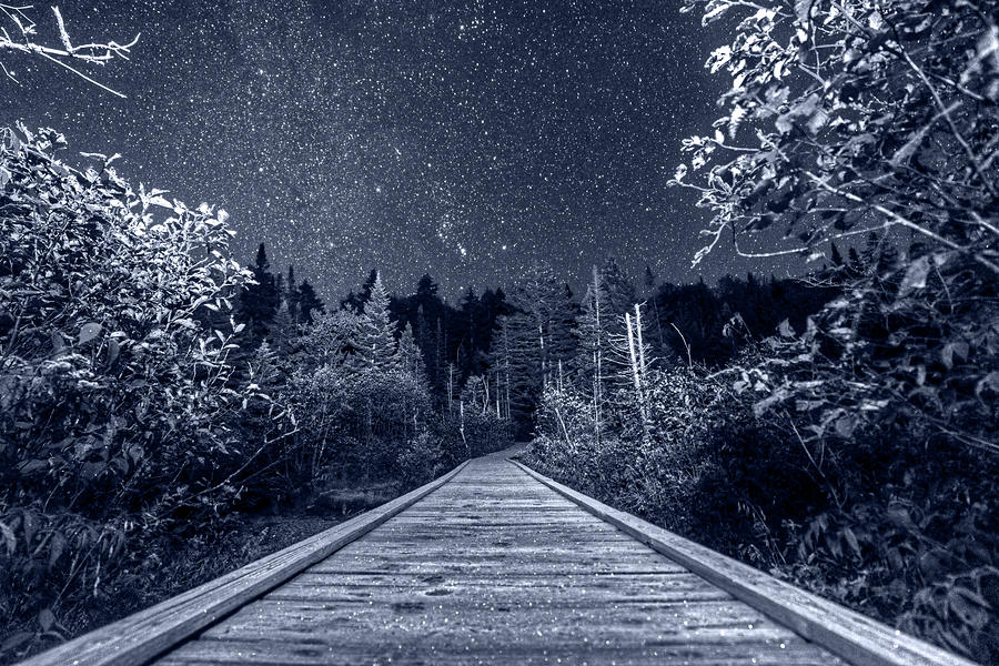 Monochrome Nights Hiking into the night Adirondack Log Keene Valley NY New York Photograph by Toby McGuire