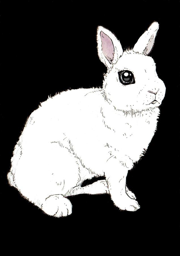 Animal Painting - Monochrome Rabbit by Katrina Davis