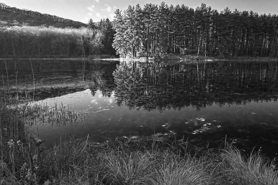Monochrome Reflections Photograph by Angelo Marcialis