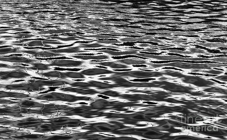 Monochrome Ripples Photograph by Tim Gainey