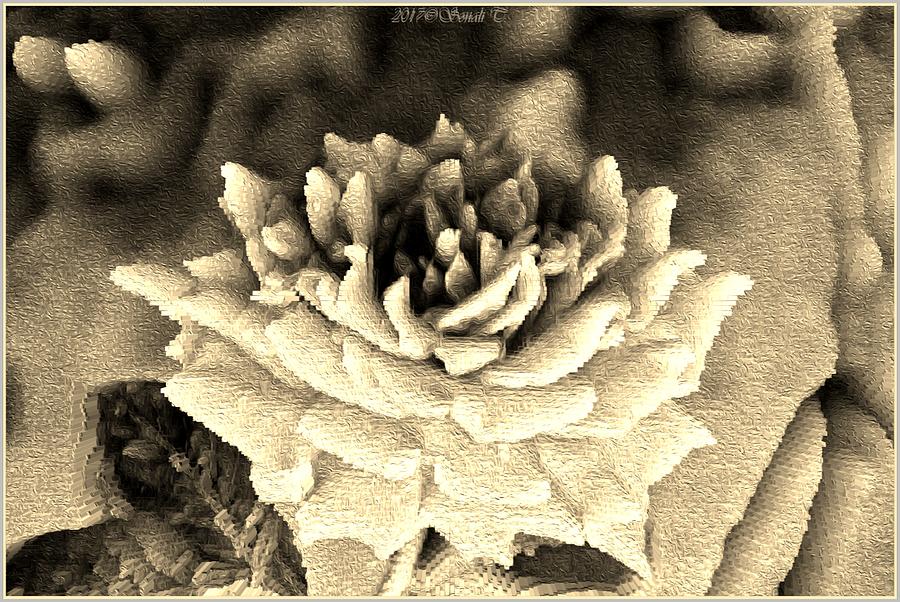 Monochrome Rose Digital Art by Sonali Gangane