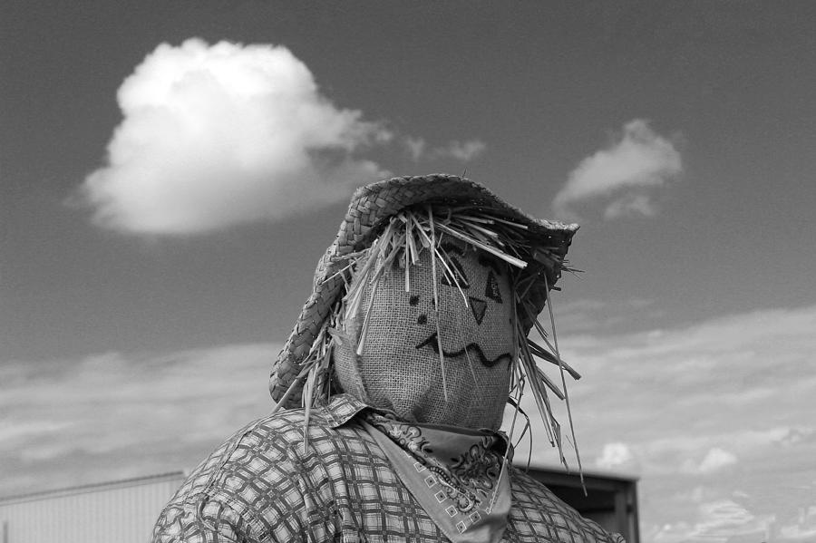 Monochrome Scarecrow Photograph by Robert Wilder Jr