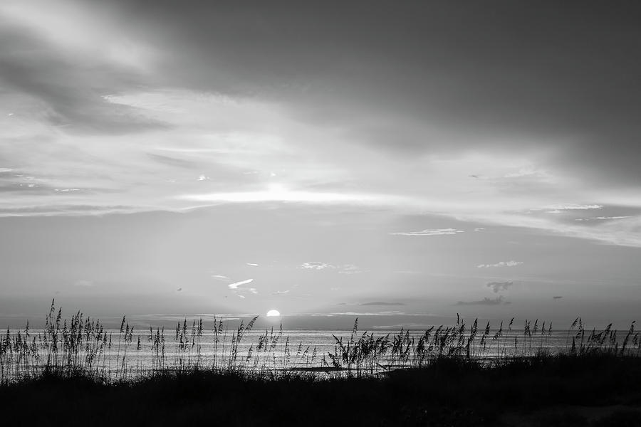 Monochrome Sea Oat Sunset Photograph by Robert Wilder Jr