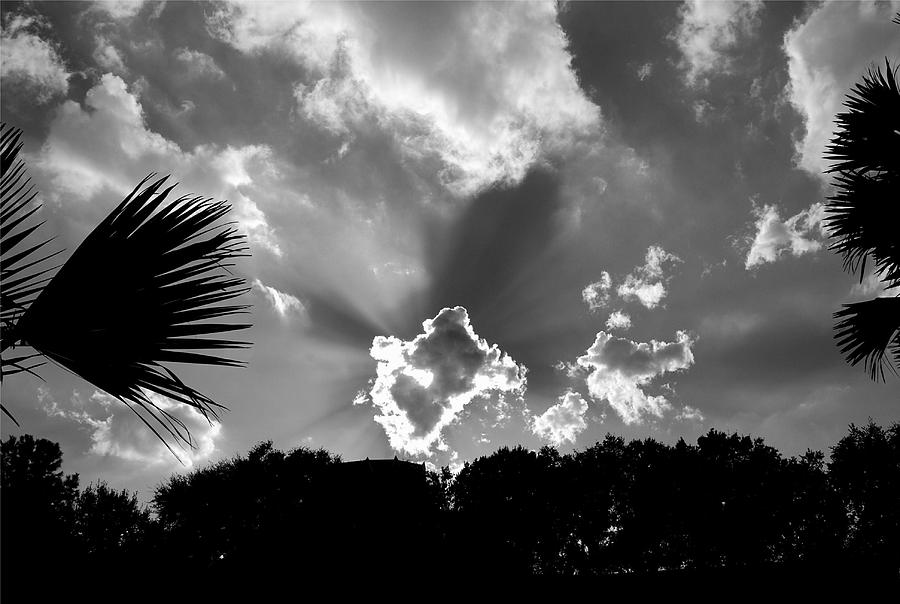 Monochrome Sunburst Photograph by Eric Liller