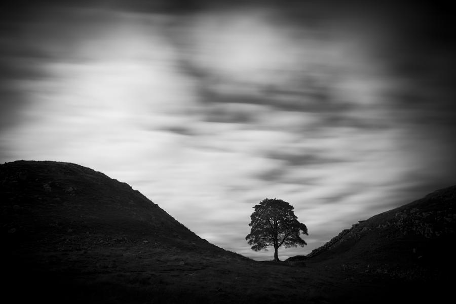 Black And White Photograph - Monochrome Sycamore Gap by David Taylor