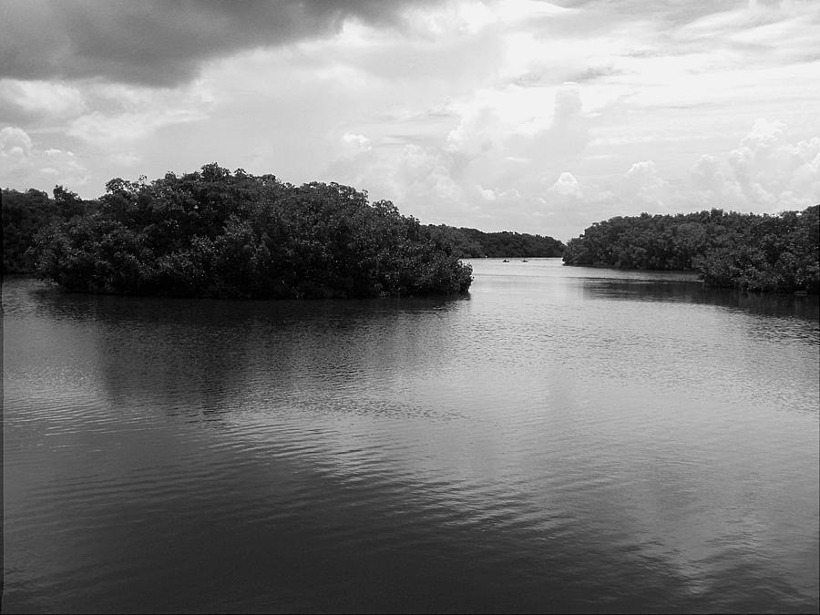 Monochrome Tampa Bay Inlet   Photograph by Christopher Mercer