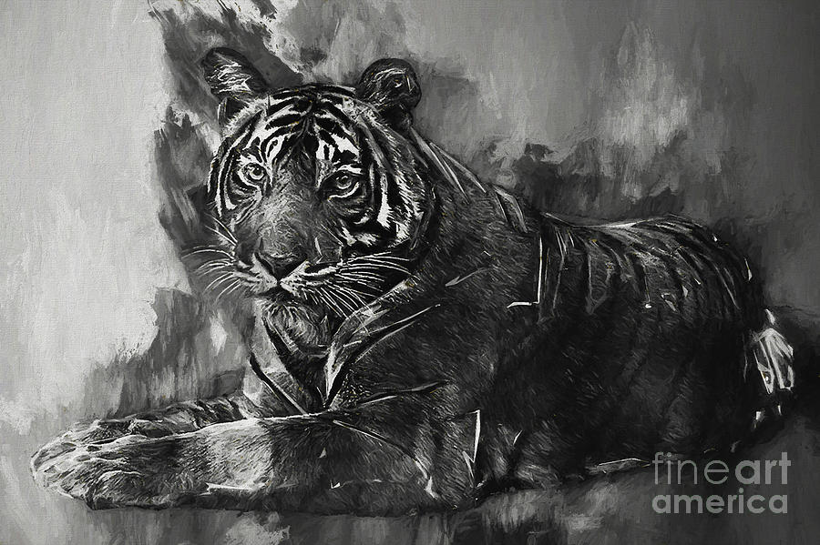 Monochrome Tiger Photograph by Jack Torcello