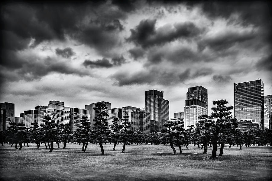 Monochrome Tokyo Photograph by Yancho Sabev Art
