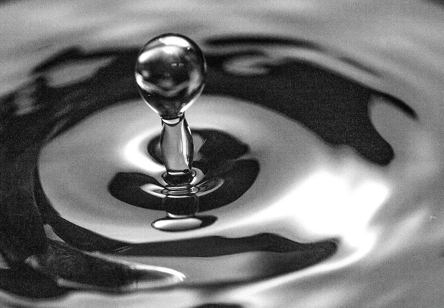 Monochrome water globe Photograph by Ed James