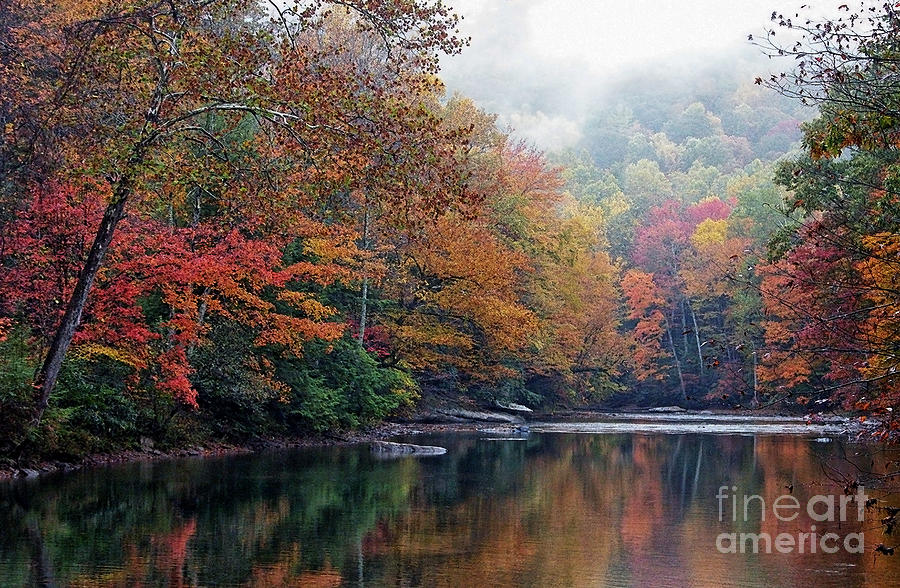 Fall Color Photograph - Monongahela National Forest by Thomas R Fletcher