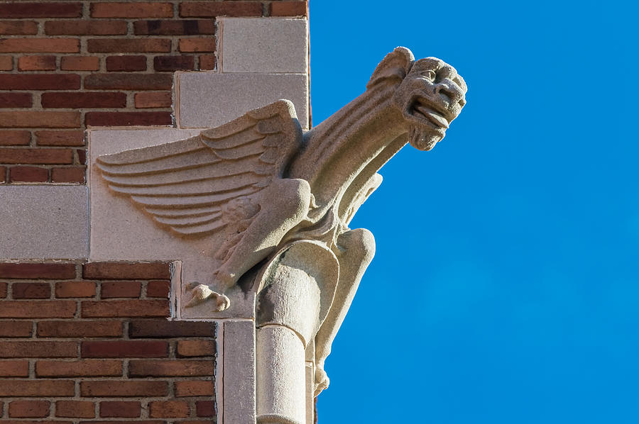 Monroe Community Hospital Gargoyle Photograph By Ray Sheley Pixels