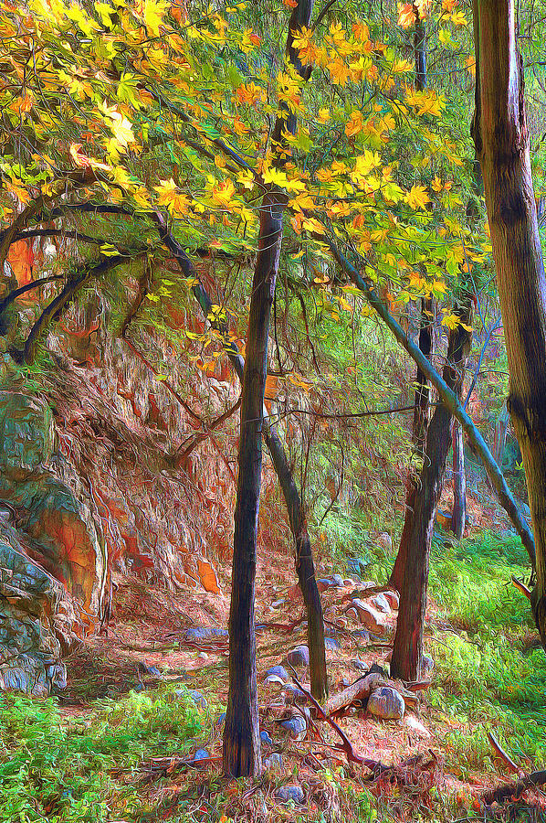 Monrovia Canyon in Fall Painting by Viktor Savchenko