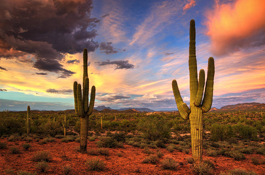 Monsoon Desert Sunset Photograph by Saija Lehtonen - Fine Art America