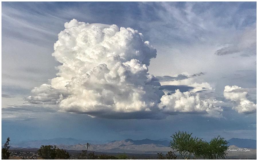 Monsoon in the Valley Photograph by Barbara Zahno