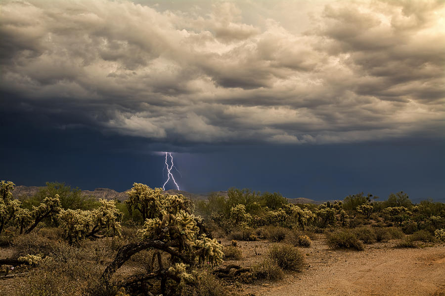 Monsoon Magic in the Desert Southwest Photograph by Saija Lehtonen