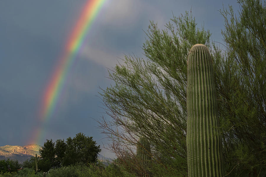 Monsoon Rainbow Photograph by Dan McManus