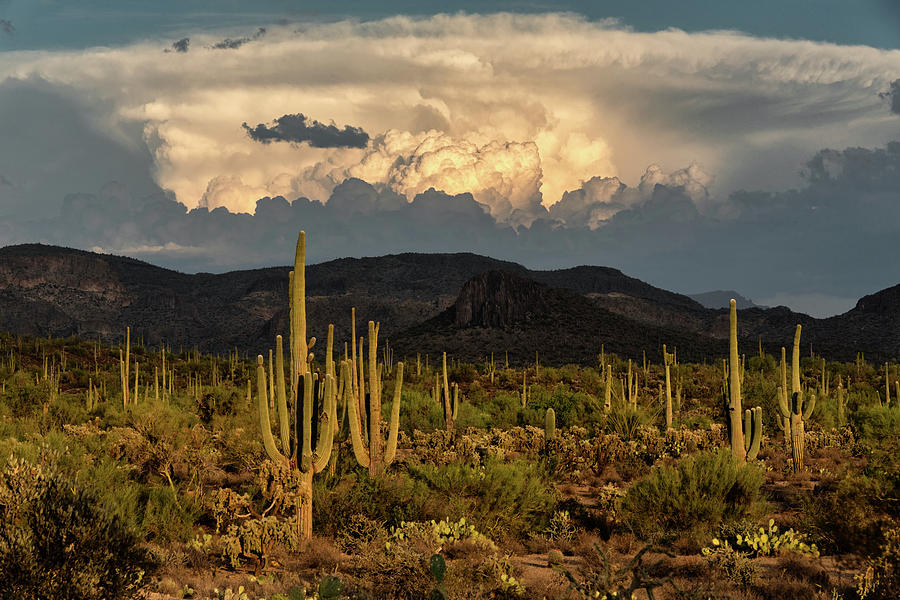 Monsoonal Sunset in the Sonoran  Photograph by Saija Lehtonen