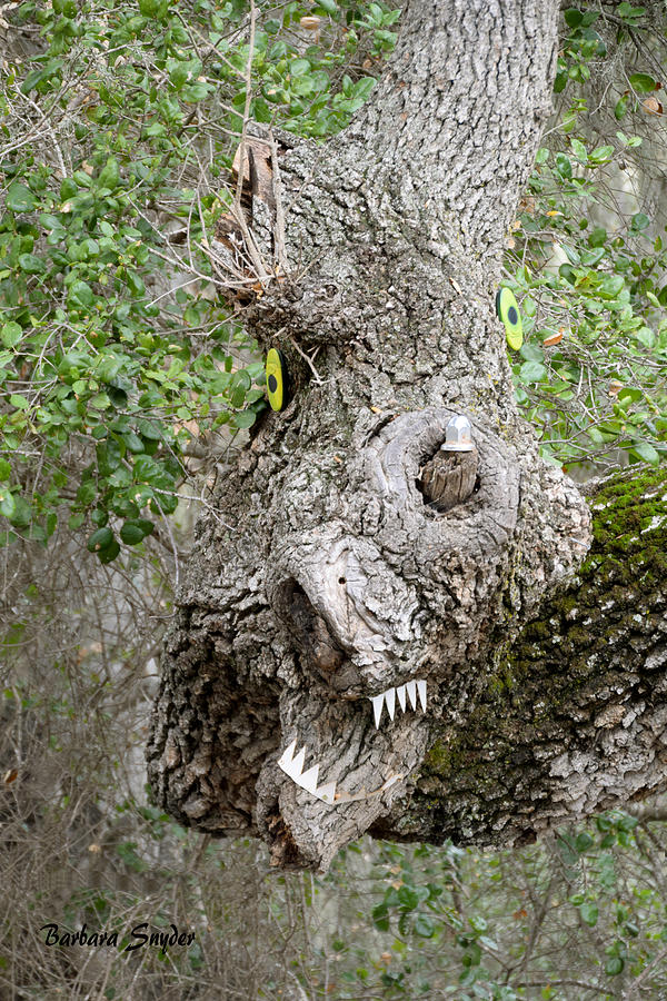 Monster Oak Tree Painting