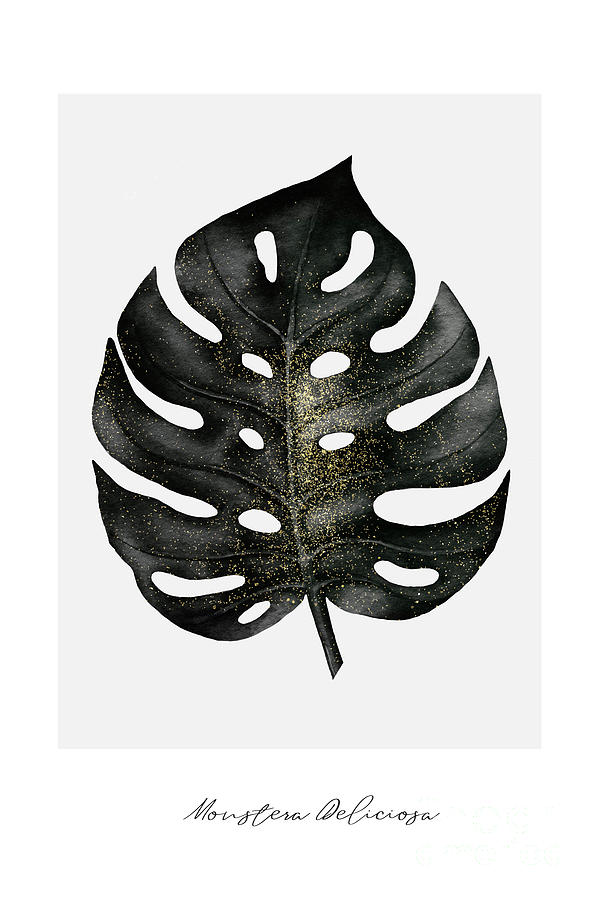 Leaf Digital Art - Monstera deliciosa leaf by Natalie Skywalker