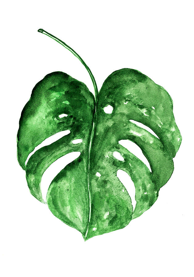 Monstera Green Leaf Painting by Green Palace